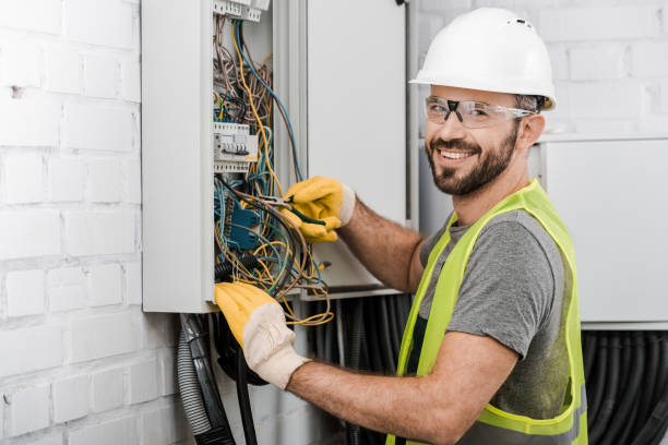 Best Electrician for Home Renovation  in Mount Olive, AL