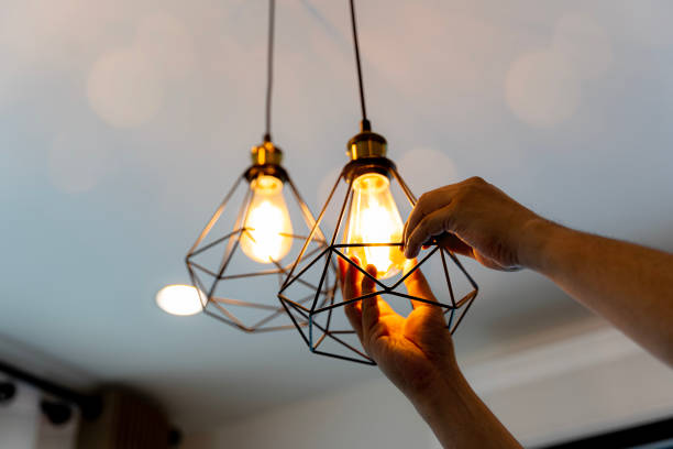 Best Electric Panel Repair  in Mount Olive, AL