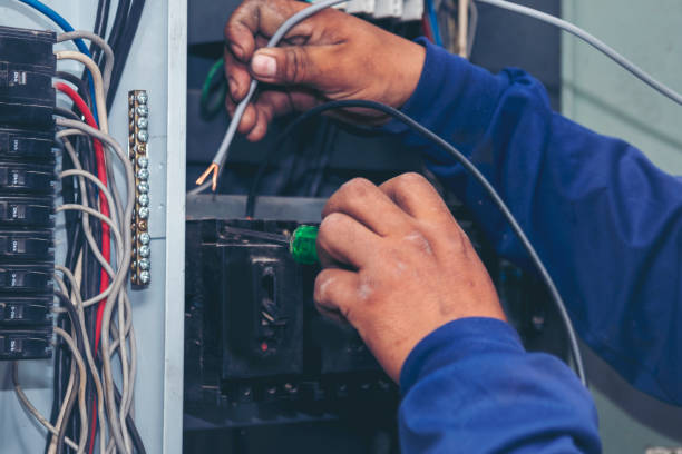 Best Residential Electrician Services  in Mount Olive, AL